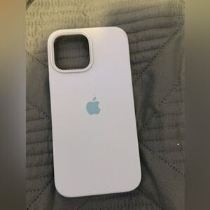 iPhone 13 Pro Max apple case in the color teal